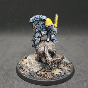 Donnerwolf 19.jpg