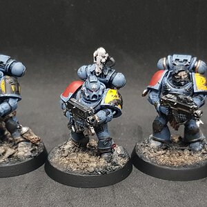 Graumähnen 3.jpg
