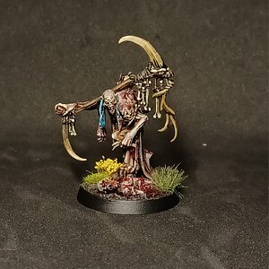 Marrowscroll Herald 1.jpg