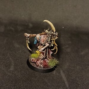 Marrowscroll Herald 2.jpg