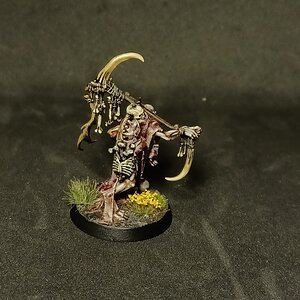 Marrowscroll Herald 3.jpg