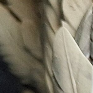 20240227_162246.jpg