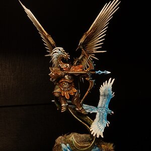 stormcast_flieger_17.jpg