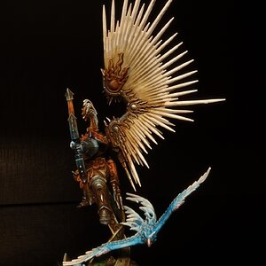 stormcast_flieger_19.jpg