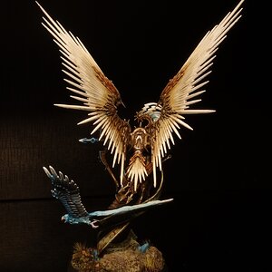 stormcast_flieger_20.jpg