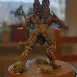 20240313_120636.jpg