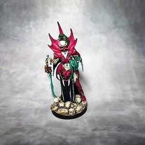 Hota Archsybarites (1).jpg