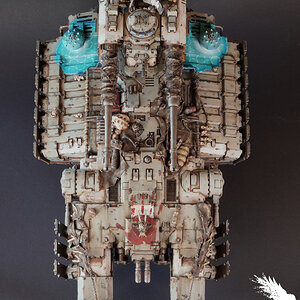 Astraeus6.JPG