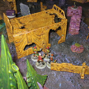 IMG_1538.JPG
