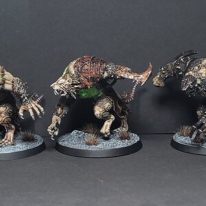 OGORS