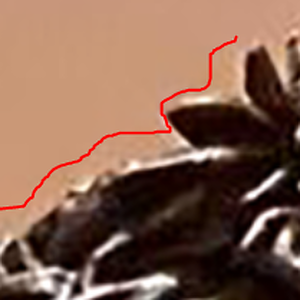 1723283786359.png