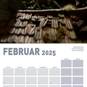 Collage2.jpg