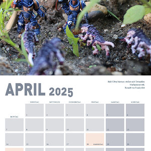 Collage4.jpg