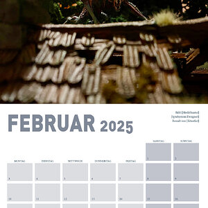 Collage2.jpg