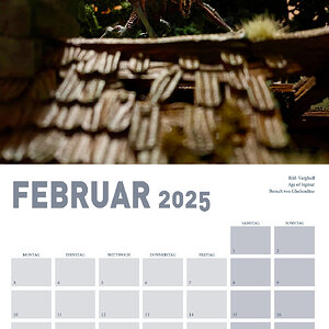 Collage2.jpg