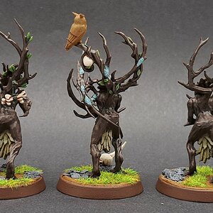 Sylvaneth12.jpg
