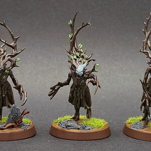 Sylvaneth13.jpg