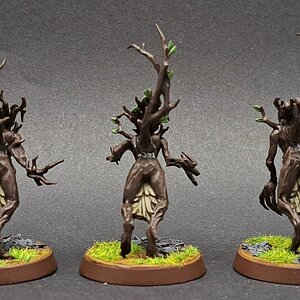 Sylvaneth14.jpg