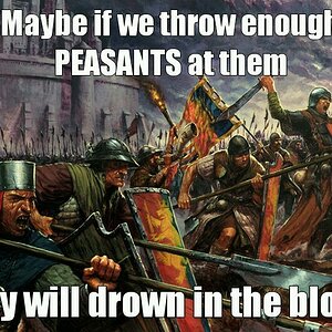 Bretonnia Meme