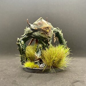 IMG_6712.jpeg