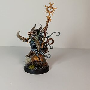 Grey Seer 1.jpg