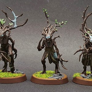Sylvaneth20.jpg
