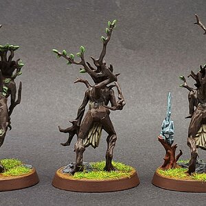 Sylvaneth21.jpg