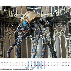 GW-FANWORLD-Kalender2025-einseitig-mitallenFeiertagen7.jpg