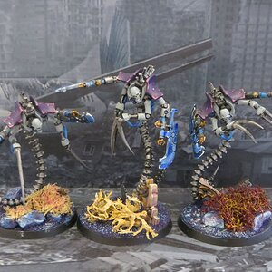 Ophydian Destroyers.JPG