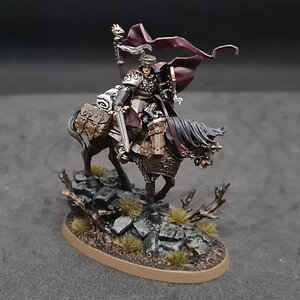 Freeguild Marshal 1.jpg
