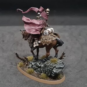 Freeguild Marshal 2.jpg