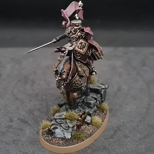 Freeguild Marshal 3.jpg