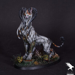 Katze1.JPG