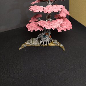 IMG_20241208_010343.jpg