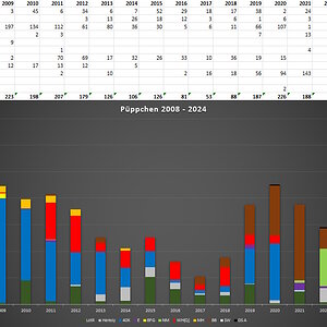 2024-4.jpg