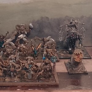 Fimir Armee - Stand Dezember 2024 1.2.jpg