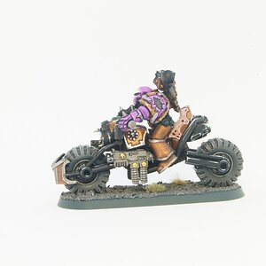 chaos-space-marine-slaanesh-biker_32699027658_o.jpg