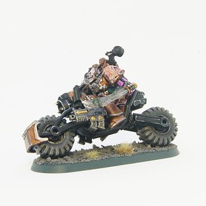chaos-space-marine-slaanesh-biker_45658544005_o.jpg