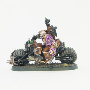 chaos-space-marine-slaanesh-biker_46572764001_o.jpg