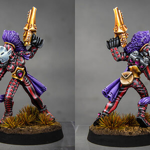 Harlequin-dual.jpg