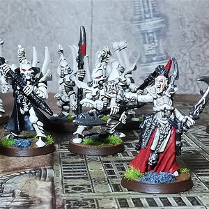 Drukhari25.jpg
