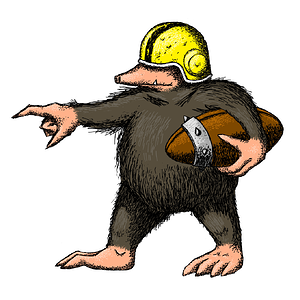 Mole.webp