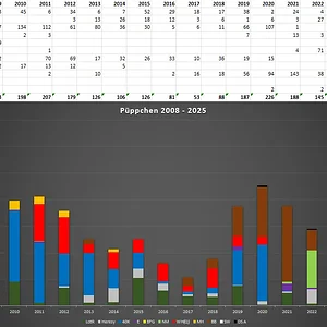 2025-1.webp
