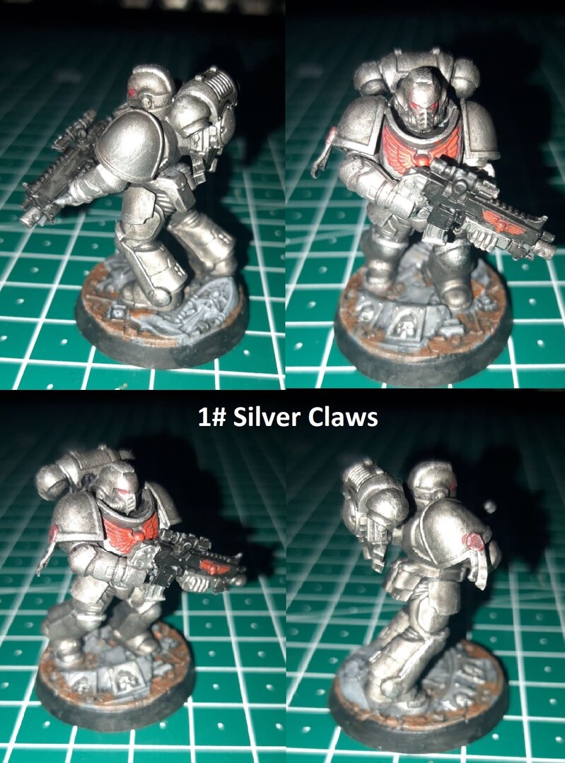 1# Silver Claws.jpg