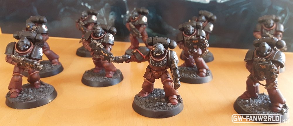 10 - Intercessors der Flesh Tearers