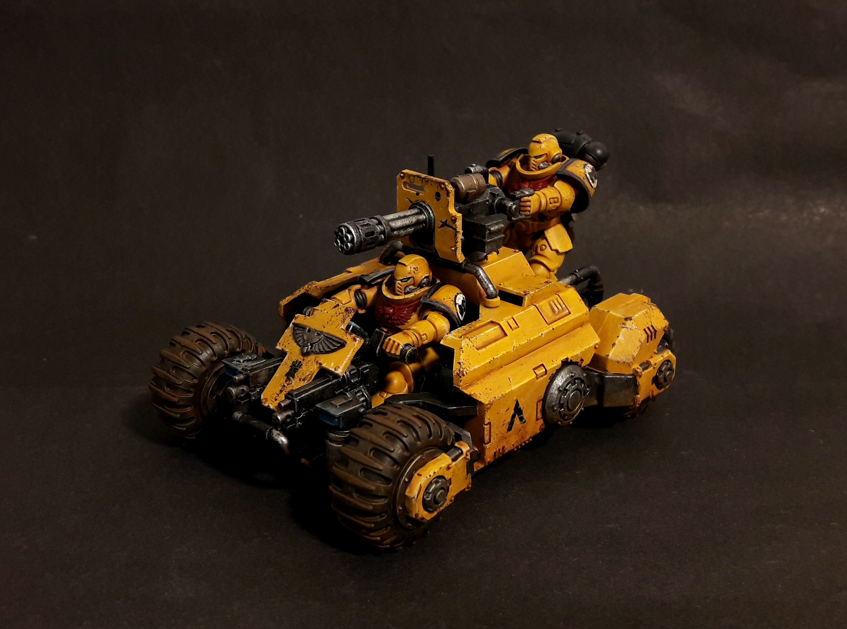 1000029391.jpg
