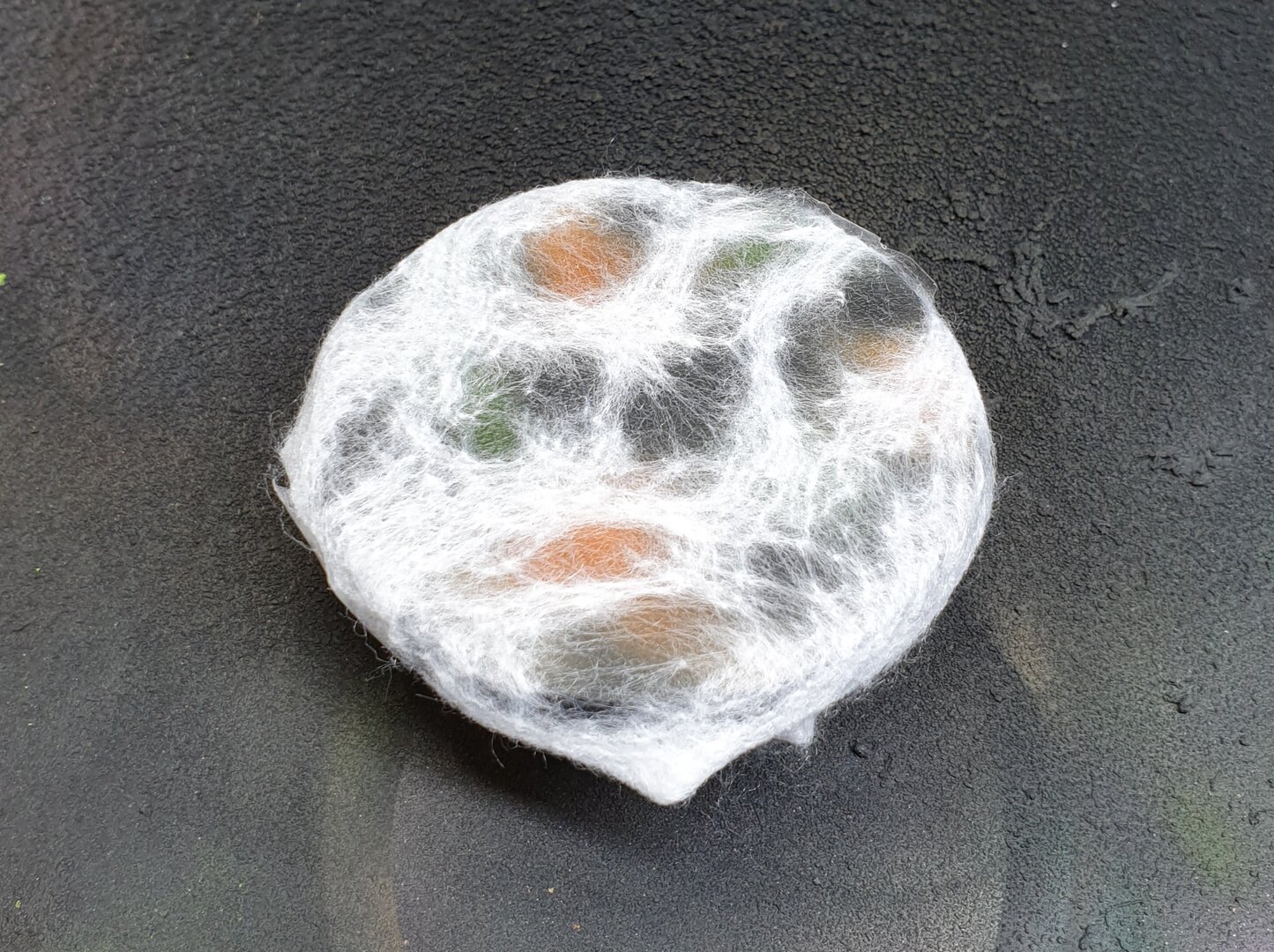 20220420_205309.jpg