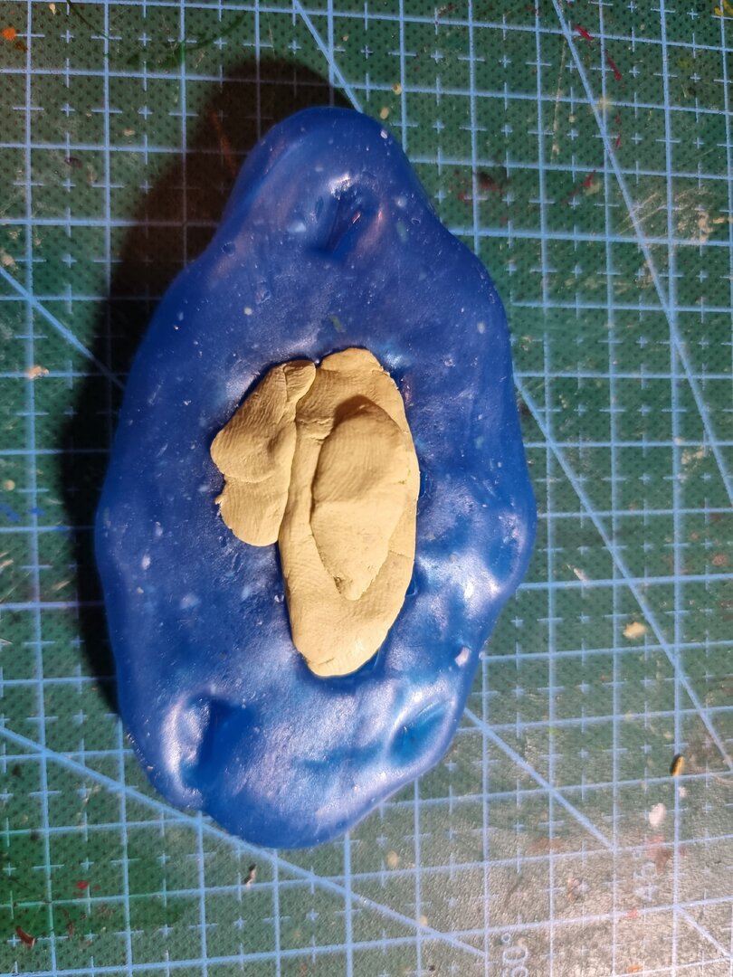 20230129_210311.jpg