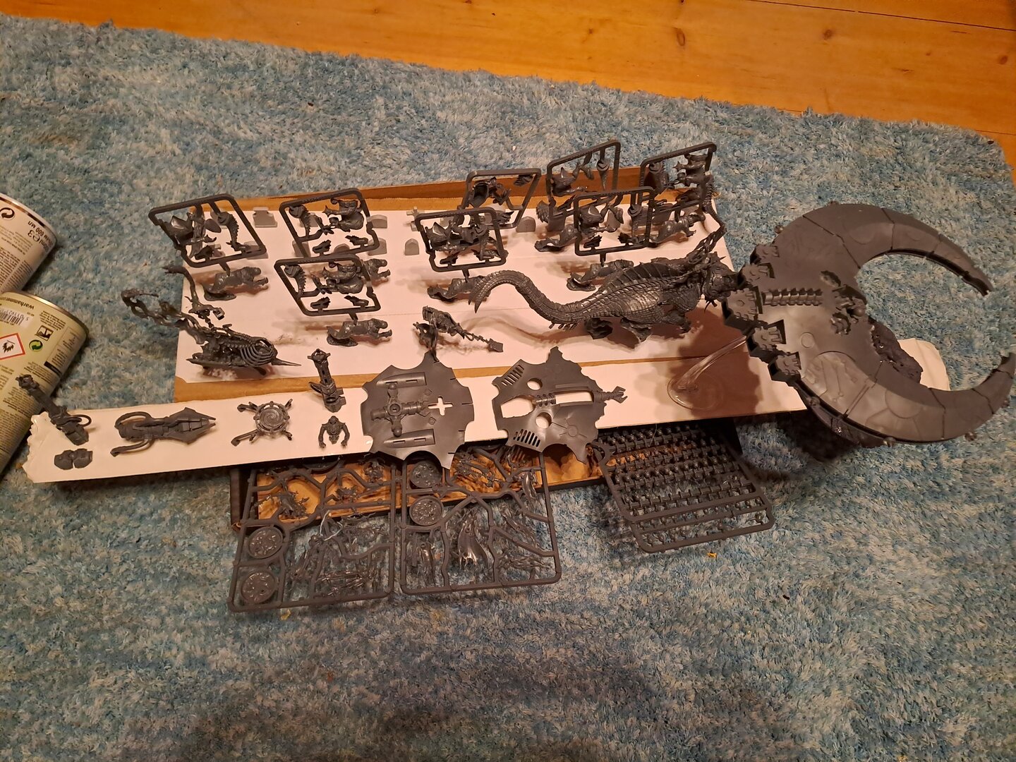 20230223_165744.jpg