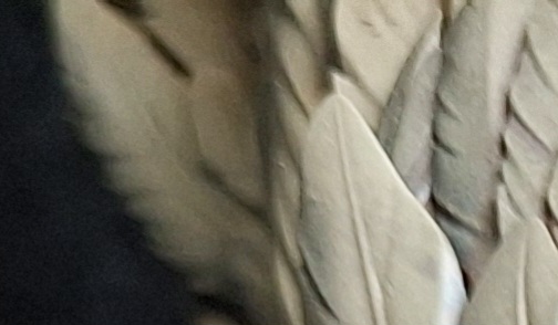 20240227_162246.jpg